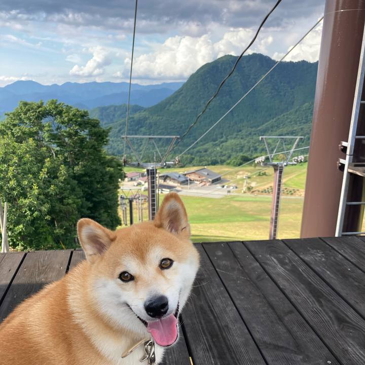 8ddc6e24 ddee 4ed8 9b71 a65067de94c7 1690960912188