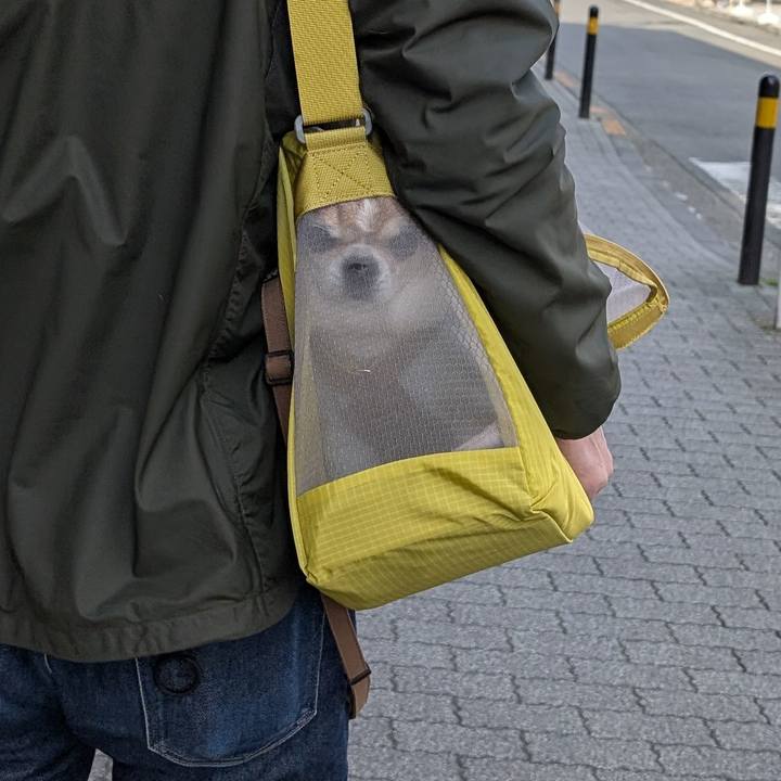 8ddc88a3 c3d4 441e bd56 9fdfa21eb185 1743330799722