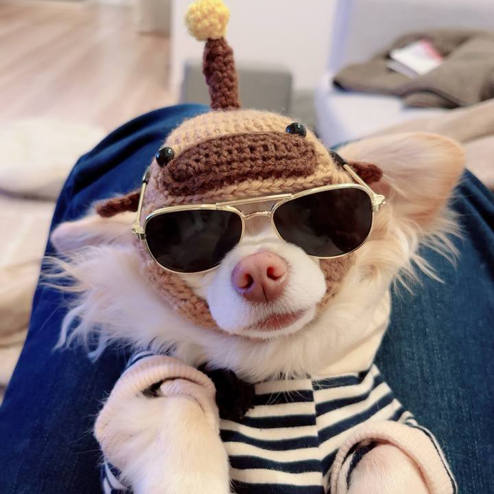 8ddca955 385b 42df b769 4a26a381ce9f 1712412916132