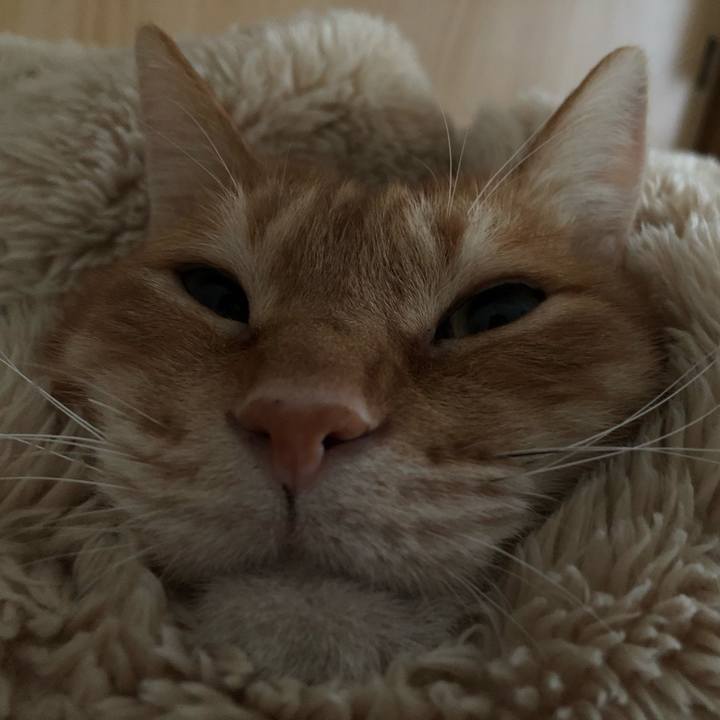 8ddcf65e f02b 49fd ab3f 9d52ed072197 1611992550640