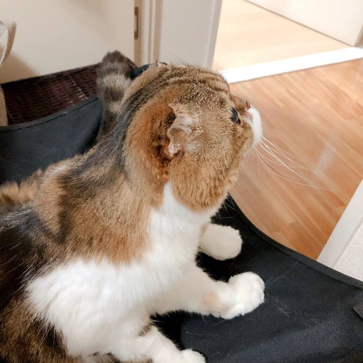 8ddcf8da fecf 4041 9d4e f9ec95ab4808 1566388931032