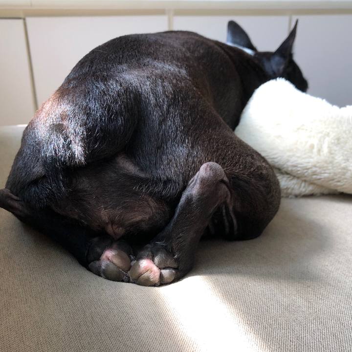 8ddcfd66 b5d9 42e2 91f1 bf3977887b33 1598095071835