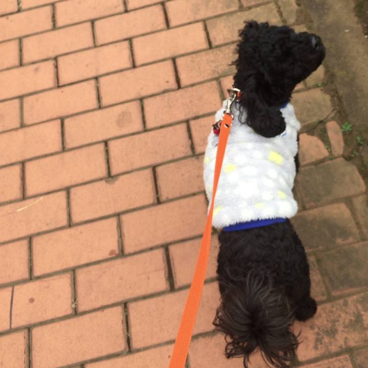 8ddd167a fc4d 445c a675 834fe786024d 1515132833933