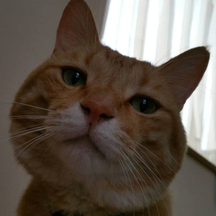 8ddd4390 ea7a 4cb6 82f9 753f4a5ddc74 1532731934496