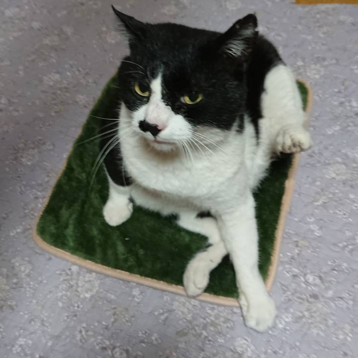 8ddd5201 219c 4c8a 9896 cb0984b50a31 1551914144517