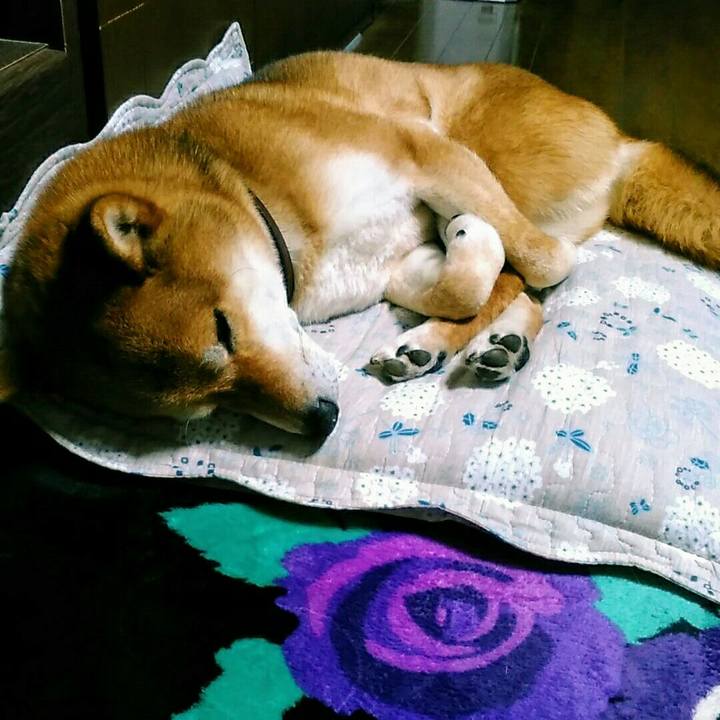 8ddd58fb 5e93 4fe2 80f4 9c2e08ba077e 1557934030376