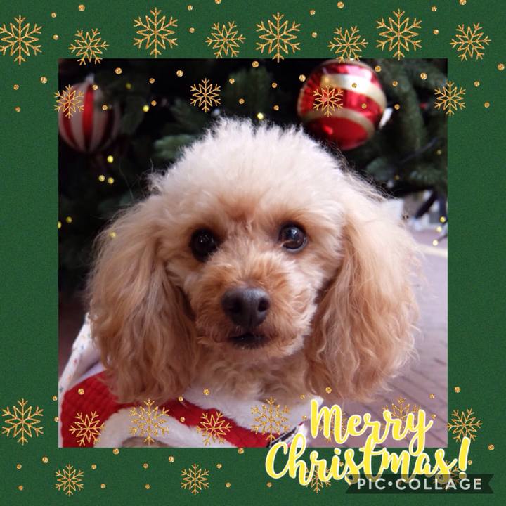 8ddd883c 98de 4e59 90b7 22475115547d 1545628169406