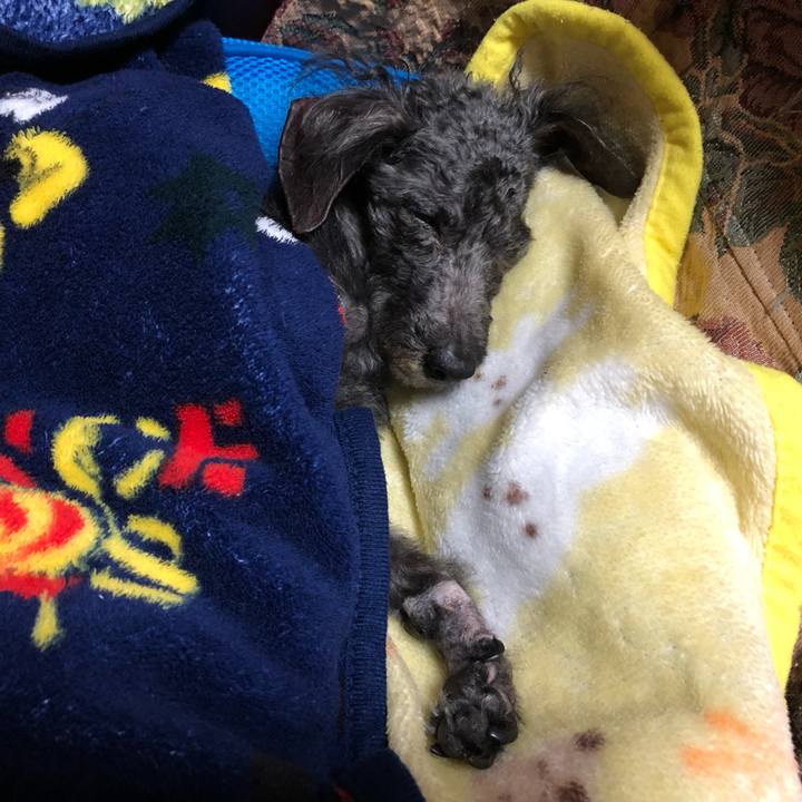 8ddd8d2b 6878 424b 8864 c71c92c88f81 1605052815792