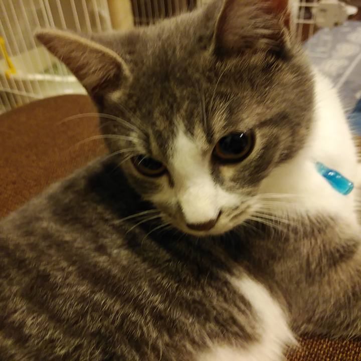 8dddad18 19a9 436f be6d a58f301dac98 1569683179759