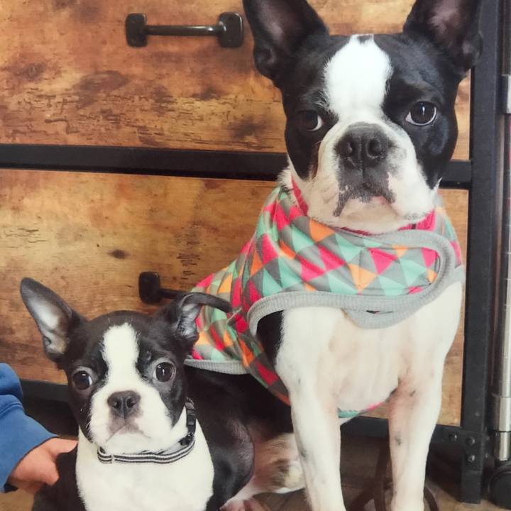 8dddbf93 1f73 4fb4 a209 803a28e7e64e 1517817583144