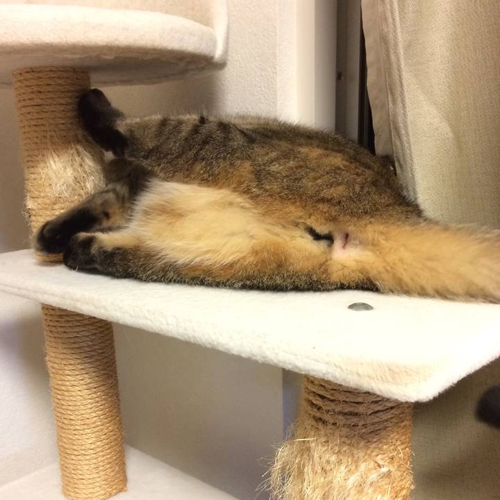 8ddddf57 29e2 4ac7 8df2 9b4f9efeacac 1583795309466