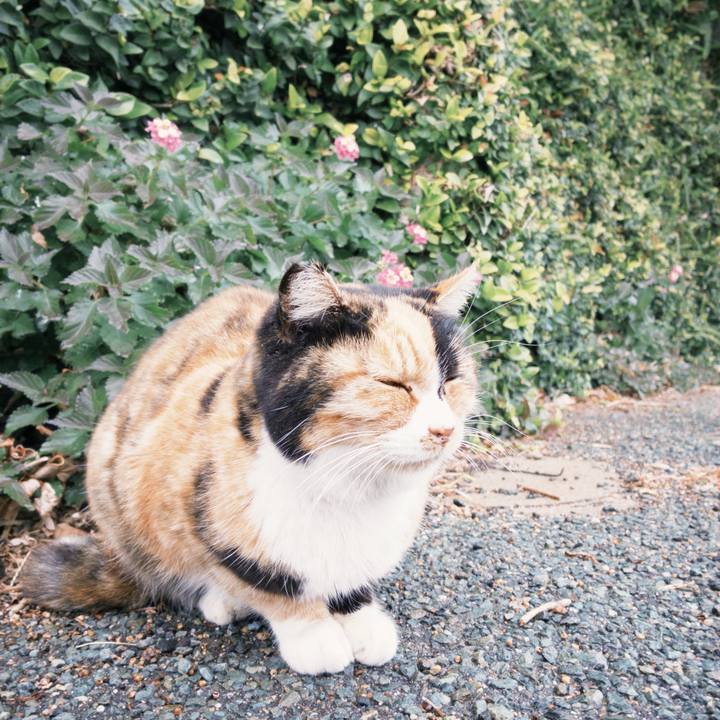 8dddea39 7e9b 43b4 9503 bef662954433 1765720972429