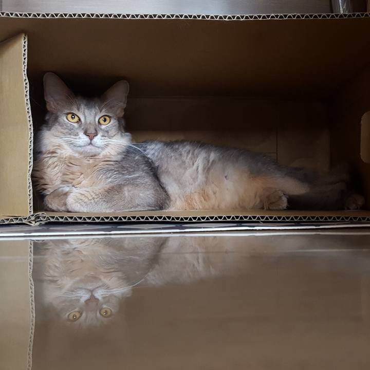 8dddeb7e 1c23 4163 b676 355944eb4635 1593653469982