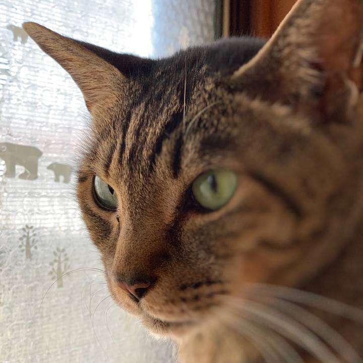 8dde5014 917e 4828 b4a6 83eaa535fbdf 1556846195951