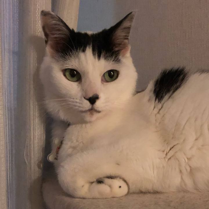 8dde687e 15d9 4d57 a1c2 27ce3380a26f 1541923561240