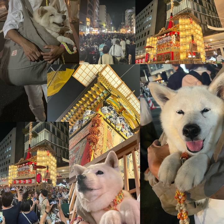 8dde8c01 b19e 4634 bcf5 03d26af5d91b 1689551243528