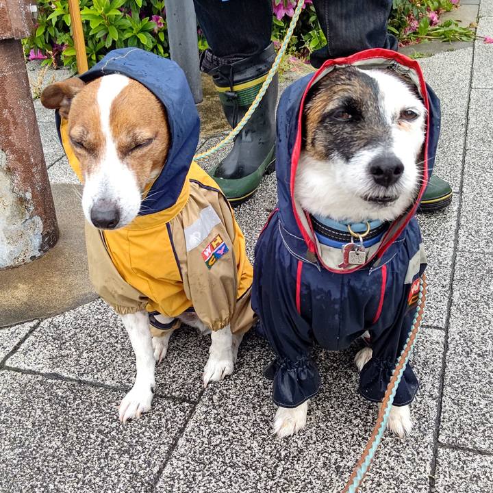 8dde9e74 9ae2 4f24 a534 9b4a4188fc00 1715297912256