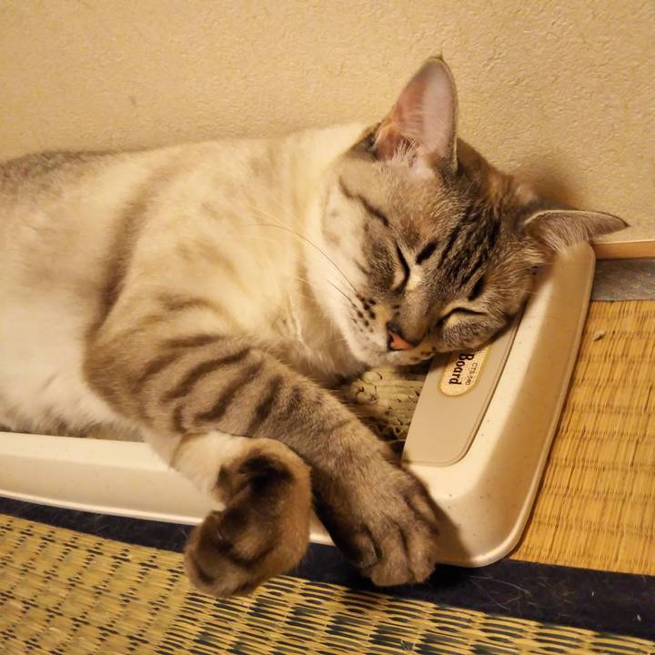 8ddec310 9260 43e6 a56f 340dd96eba3a 1529840618026