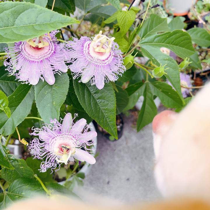 8ddec776 5782 473a 9596 b36356b53600 1688550207344