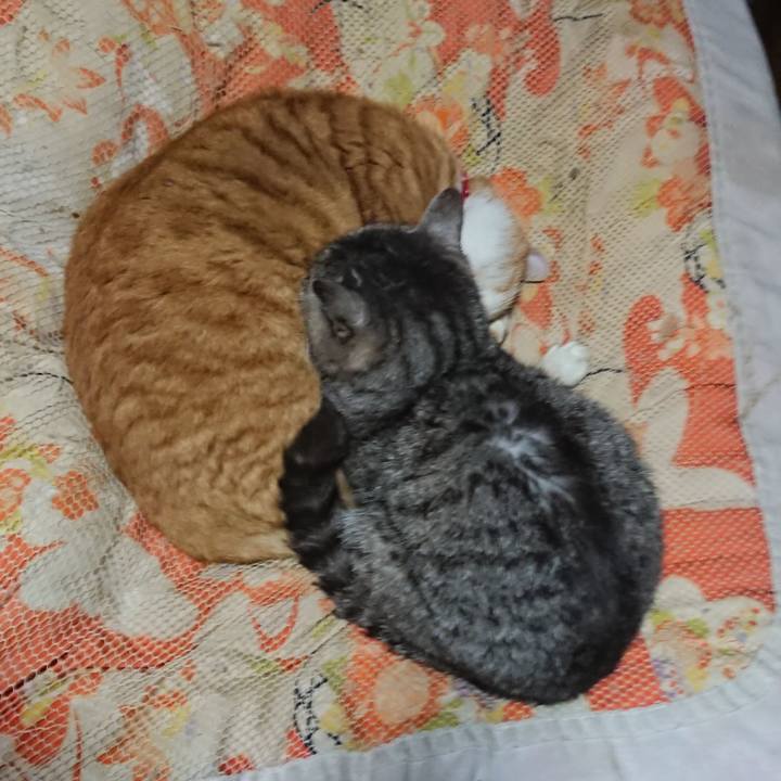 8dded5a1 76c8 450d 9a8b abc565b6a908 1577272198276