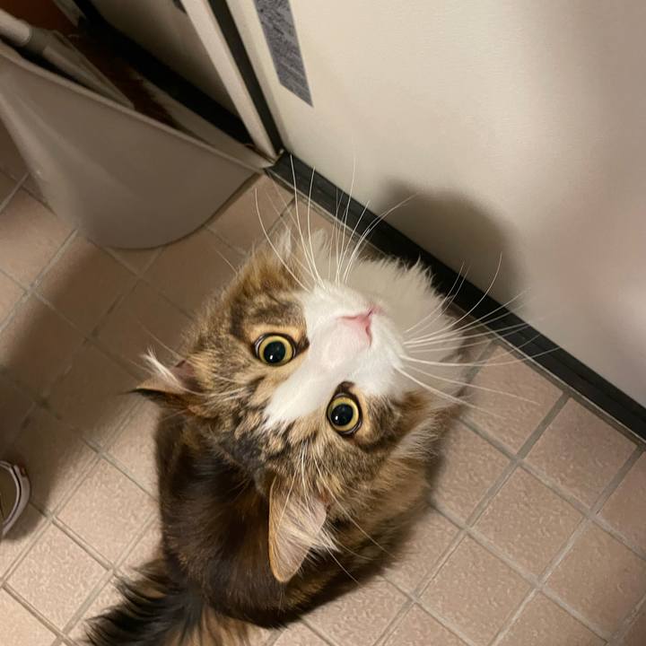 8ddedf00 cebd 41a3 8f72 aaf3d20ca1bd 1680169110021