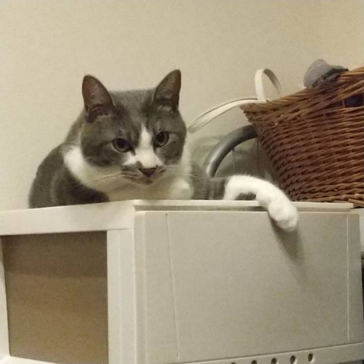 8ddf0242 b89c 437f af22 f9236d1d448d 1624366506740