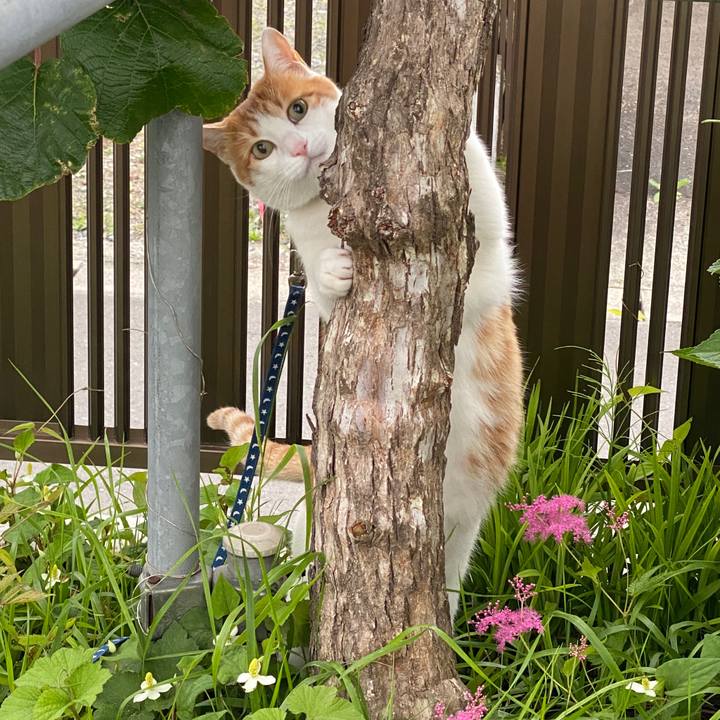 8ddf66d6 342a 4085 a278 a9c4ab10656f 1622583535410