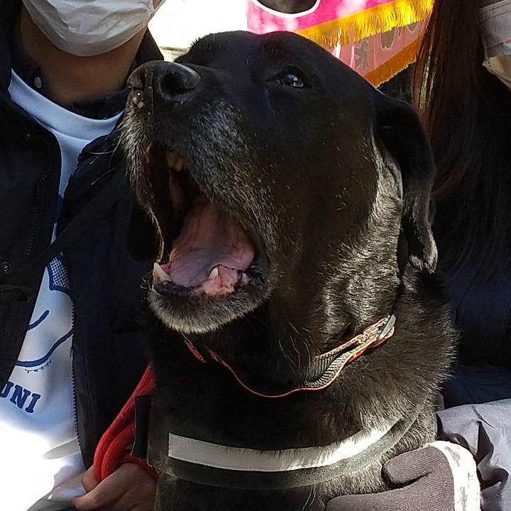 8ddf76f6 58b7 4ba5 b56a acd2daf44f28 1691804428353