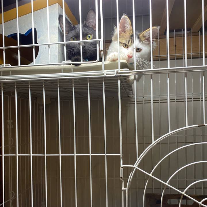 8ddfb016 a2a1 4e0d 9d5e ac66092658b6 1633337842679