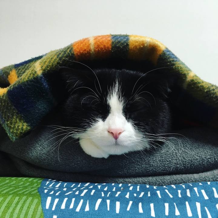 8ddfb477 5541 48b4 bd06 945af98eb51c 1615298480812