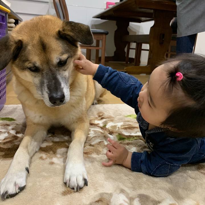 8ddffd21 c159 430c 834e 4c8601d3bab0 1544263381011