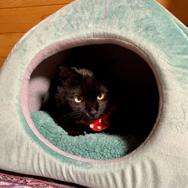 8de020d7 2536 4d0e 804e a563b2284c6b 1674291304308