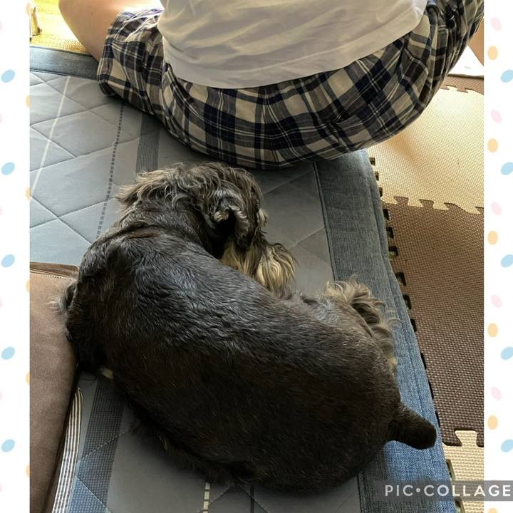 8de054c3 11fb 4751 8990 3e48c2de405f 1725162835661