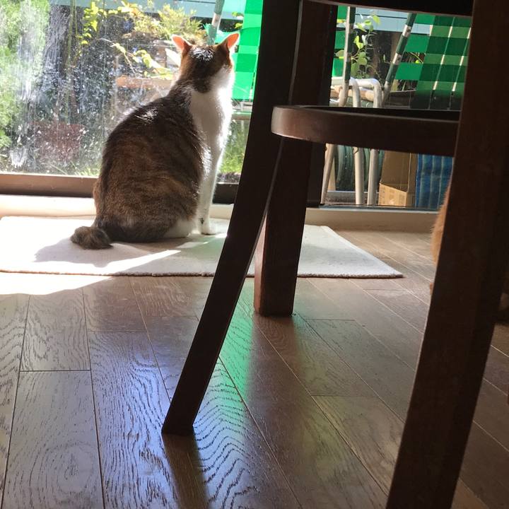 8de062e7 7ef3 4b37 9048 0dd9af2a4caf 1508924066939