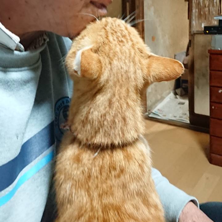 8de06ea5 9718 4cc4 a75d d32a97d05791 1604260527573