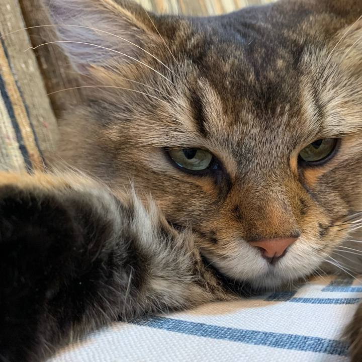 8de09179 19a2 4be7 8b08 e0a6d05732ac 1756076207666