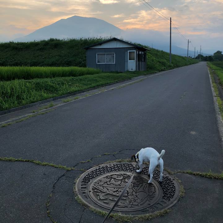 8de09428 086b 4bf6 bcc9 1685b65b429c 1532174197543