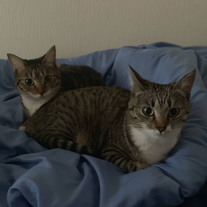 8de0a03c 43fb 4e7c a34b b82826297938 1554986914950