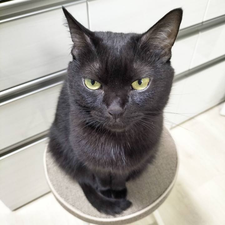 8de0a796 b029 43df a661 24d94195c641 1699360308677