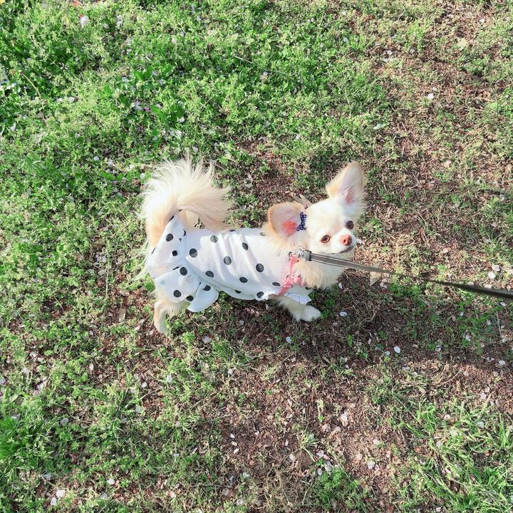 8de0cad7 f4cb 43fd bb81 5e3dcdd2a4db 1713083119474