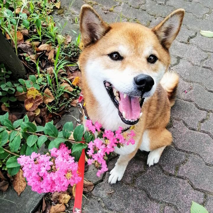 8de0cf79 59b5 454f b608 0f8d0ccf9bed 1599723874101