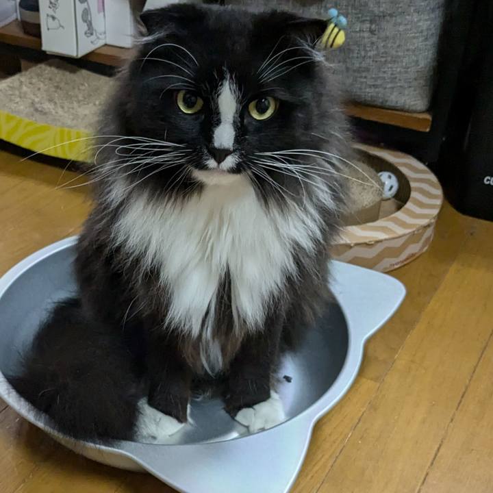 8de0e0c7 1589 4edc abb7 a88781cc07f3 1719452544309