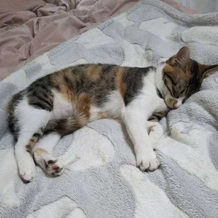 8de10214 92fe 45c6 816f dd1aa25f448c 1638772316572