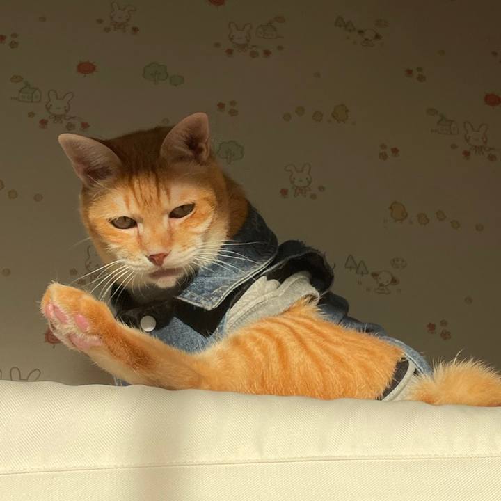 8de1425b da52 4d6b 9e2e 254adac2e192 1646213043776