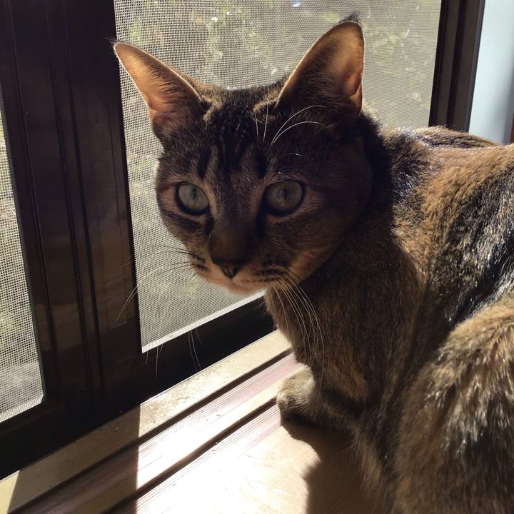 8de1b154 1e09 4eae bb7b 11ecb0456b07 1584232744096