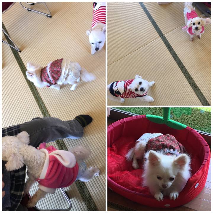 8de1b2d0 35b9 4a4a 9aac fee114bb960c 1551439306698