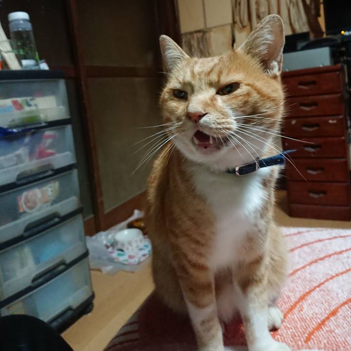 8de1b44a eb89 4c6b 8959 1ef91e12b756 1603309599432