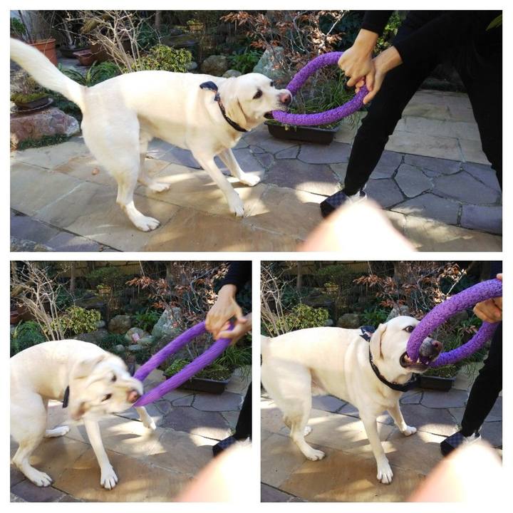 8de1d24b 6f99 4a2a 9b3a f0fd23e7525a 1578723190211