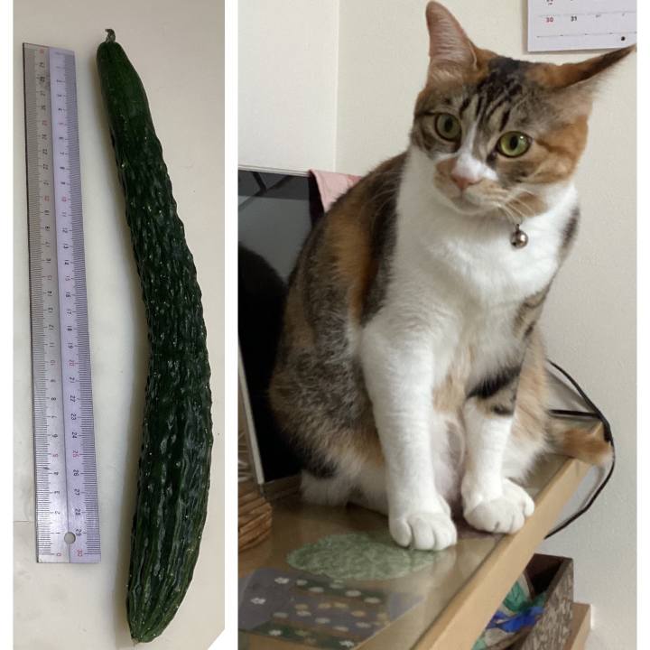 8de22f31 d688 4b9d 9ffa 81cbf54de09a 1689808077269