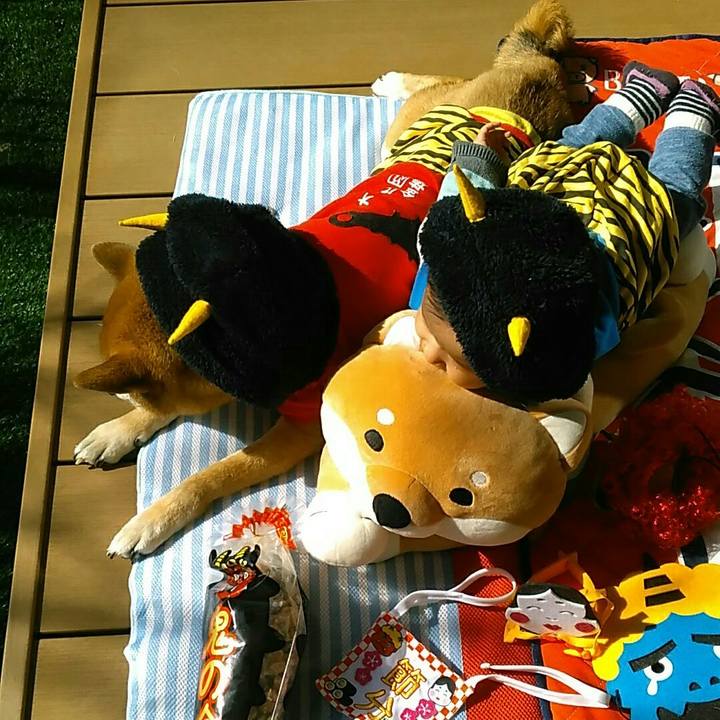 8de23517 5c5c 4e33 b8d0 d6506aa49ede 1549187811784